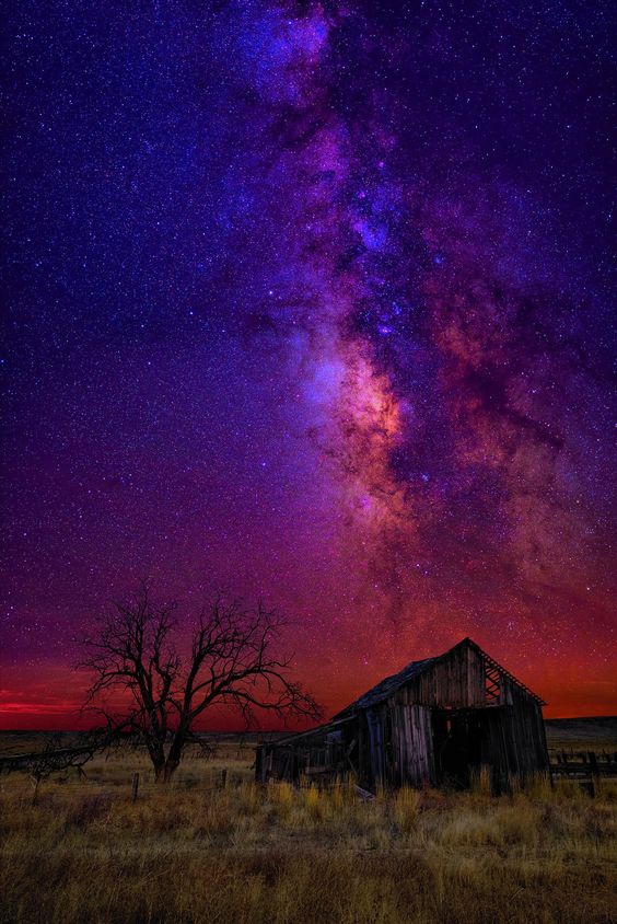 Barn&Tree