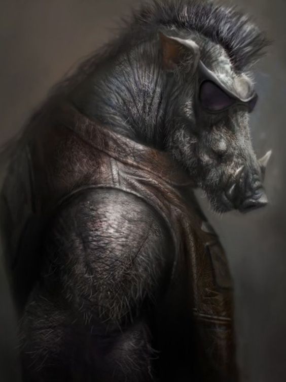 Boar