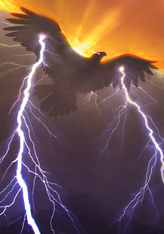 StormCondor